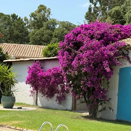 Provencal Sttropez Ramatuelle Pampelonne Villa