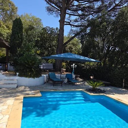 Provencal Sttropez Ramatuelle Pampelonne Saint-Tropez